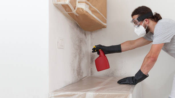 Professional Mold Remediation technician working in Hampton, VA