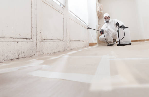 24/7 Emergency Mold Remediation experts in Hampton, VA