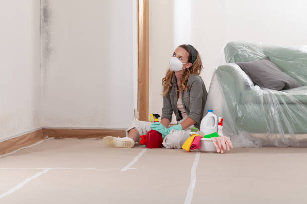 Reliable Mold Remediation contractor in Hampton, VA by Mold Remediation HQ